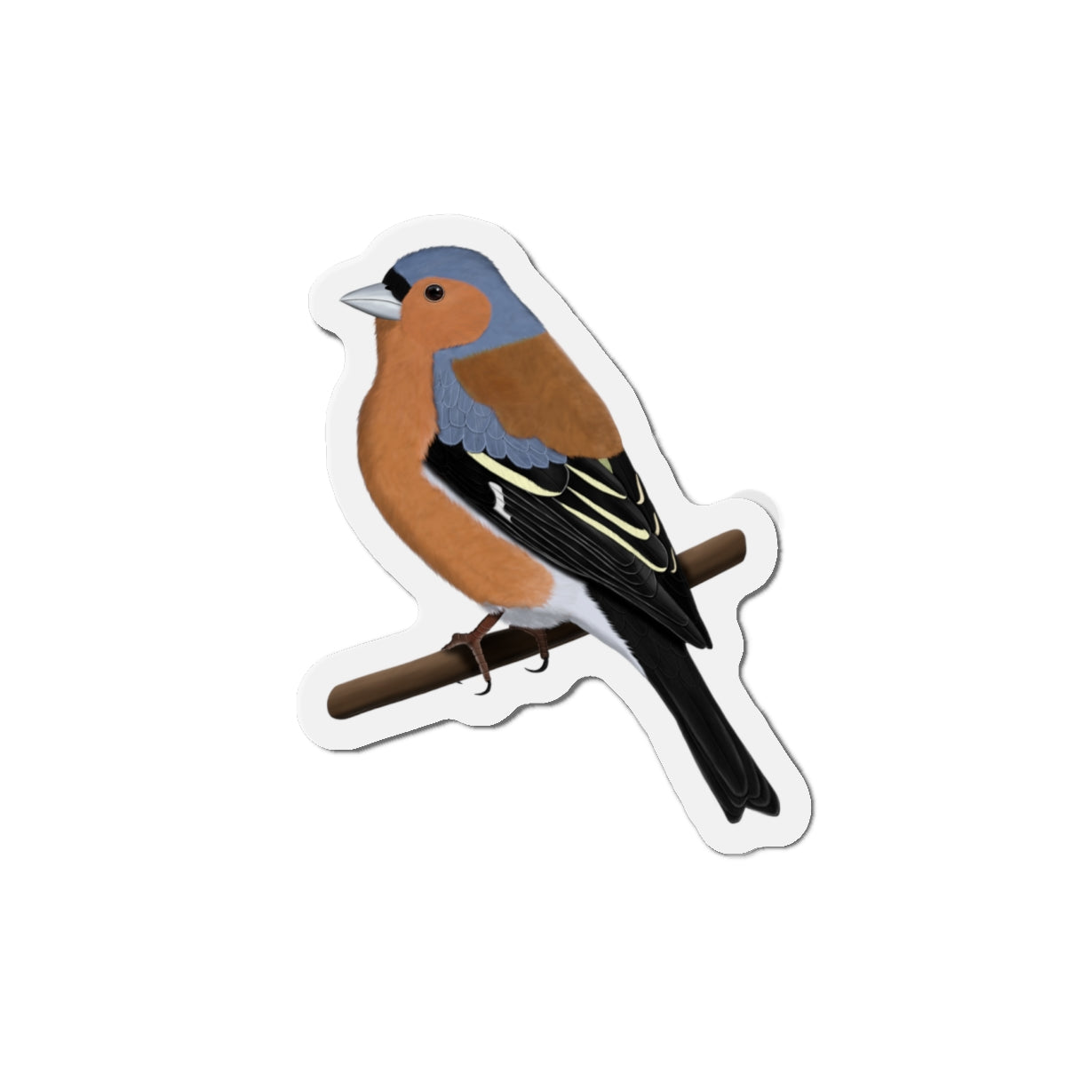 Chaffinch Bird Magnet