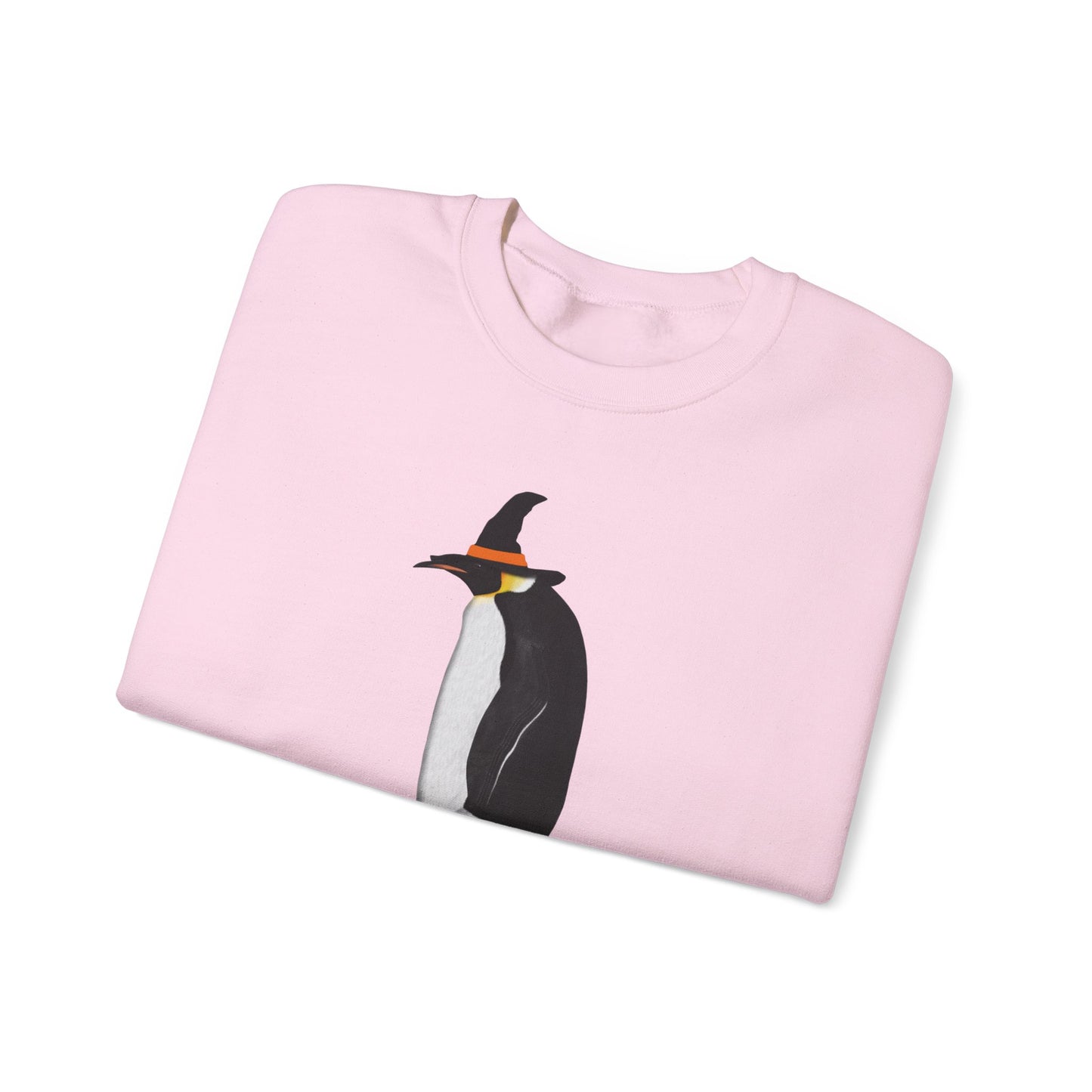 Penguin Halloween Birds Witch Birdwatcher Sweatshirt