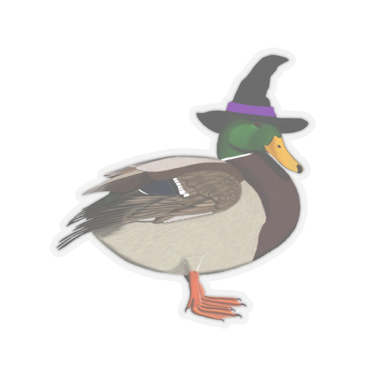 Mallard Halloween Witch Hat Bird Sticker