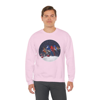 Blue Jay Robin Cardinal Bluebird Wren on a Winter Branch Christmas Bird Sweatshirt