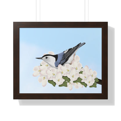 Nuthatch Spring Blossoms Bird Framed Poster