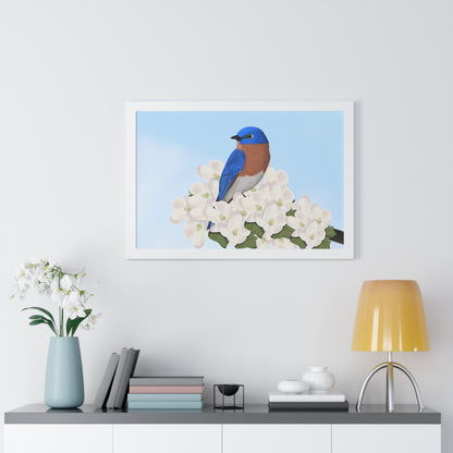 Eastern Bluebird Spring Blossoms Bird Framed Poster