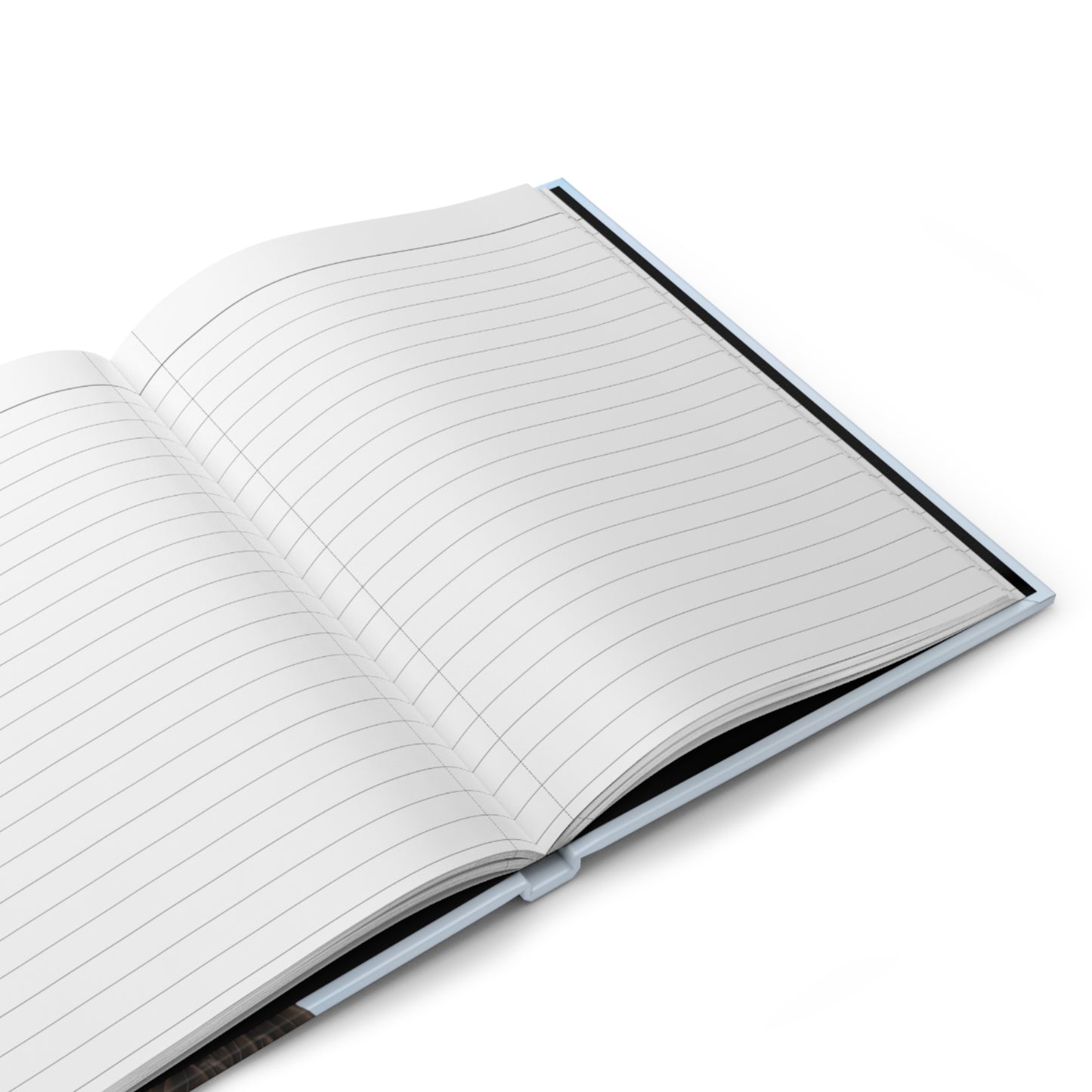 Bald Eagle Bird Hardcover Journal for Recipes 150 Pages A5 Bird Lovers & Bird Watchers