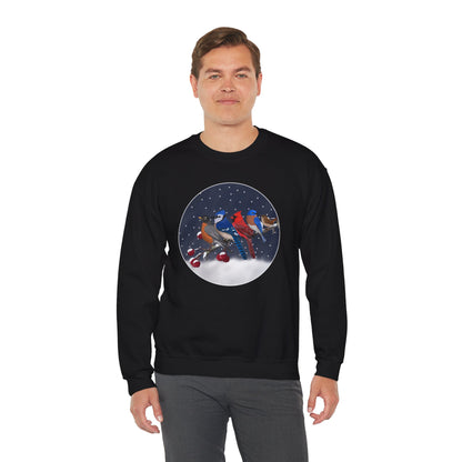 Blue Jay Robin Cardinal Bluebird Wren on a Winter Branch Christmas Bird Sweatshirt