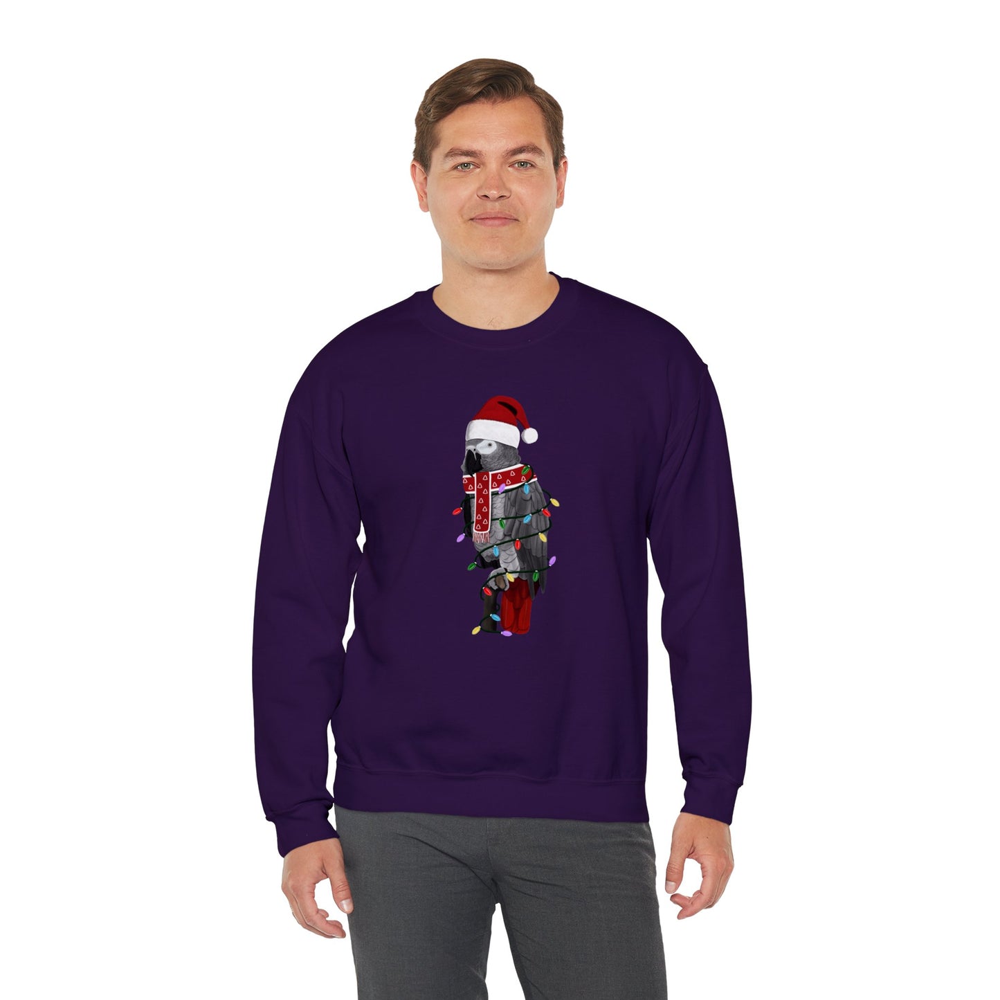 Grey Parrot with Fairy Lights Santa Claus Christmas Bird Sweatshirt