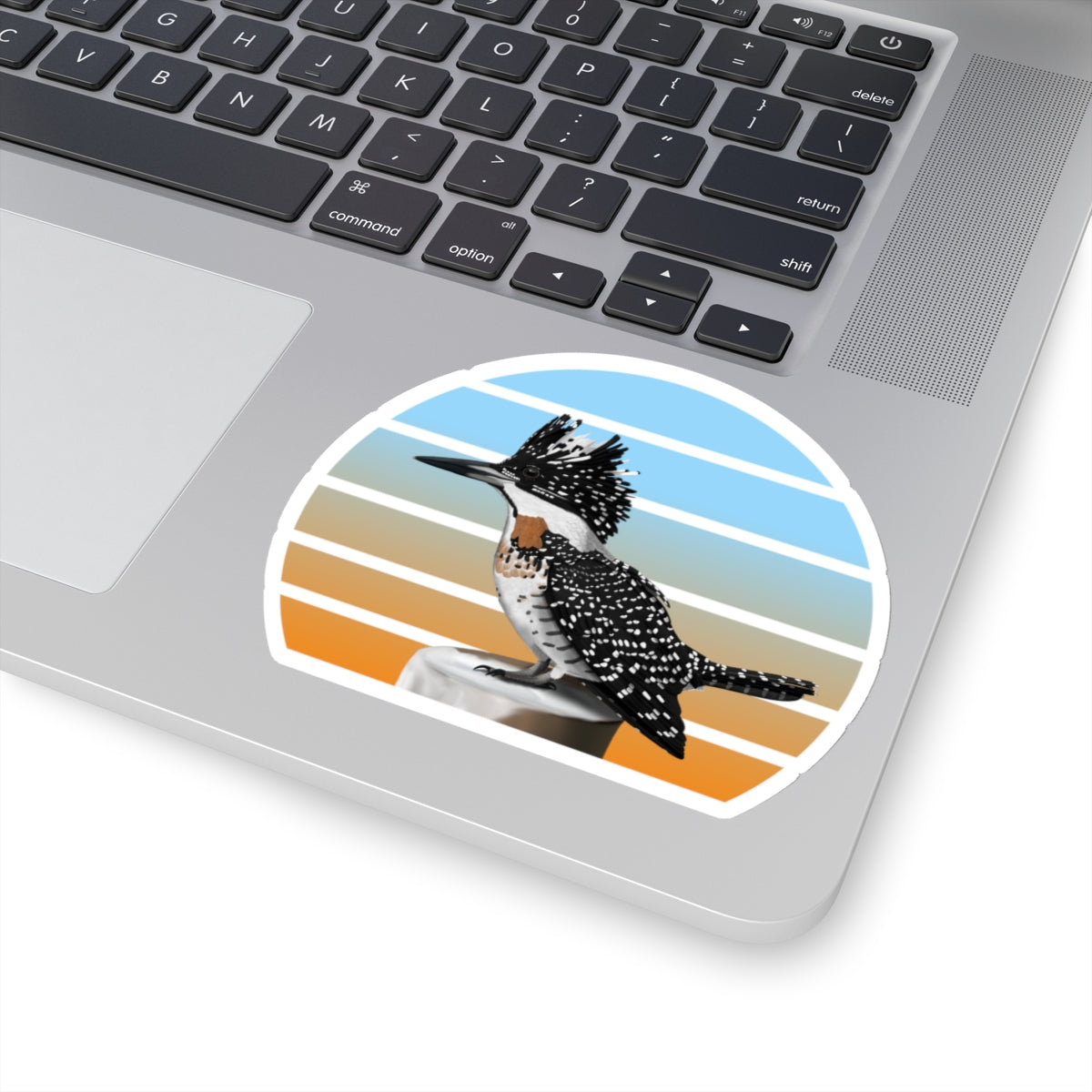 Crested Kingfisher Bird Sticker