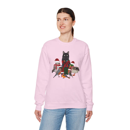 Robin Mallard Oriole Owl with Cat in a Box and Fairy Lights Birdwatcher Christmas Bird Sweatshirt