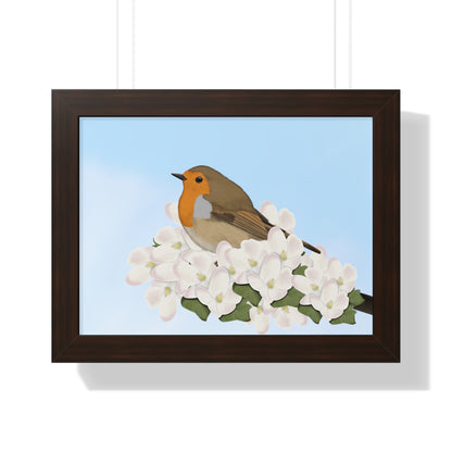 Robin Spring Blossoms Bird Framed Poster