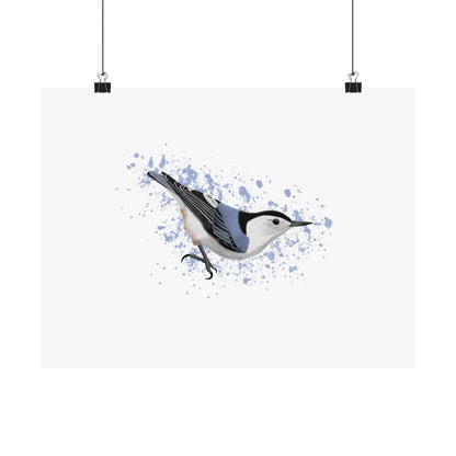 Nuthatch Bird Artwork Matte Poster