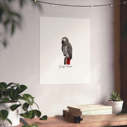 Grey Parrot Bird Birding Matte Poster