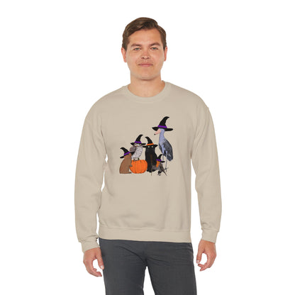 Robin Shoebill Owl Rabbit with Cat Happy Halloween Birds Sweatshirt