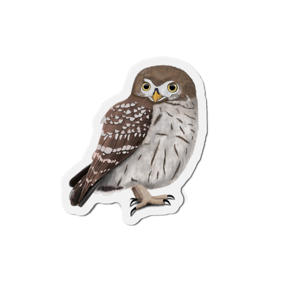 Little Owl Bird Magnet