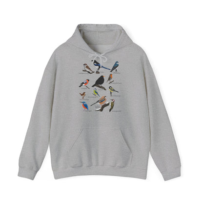 Gartenvögel Vogel Hoodie - Amsel Rotkehlchen Blaumeise Kapuzenpullover für Vogelbeobachter & Naturliebhaber mit Vogelmotiv