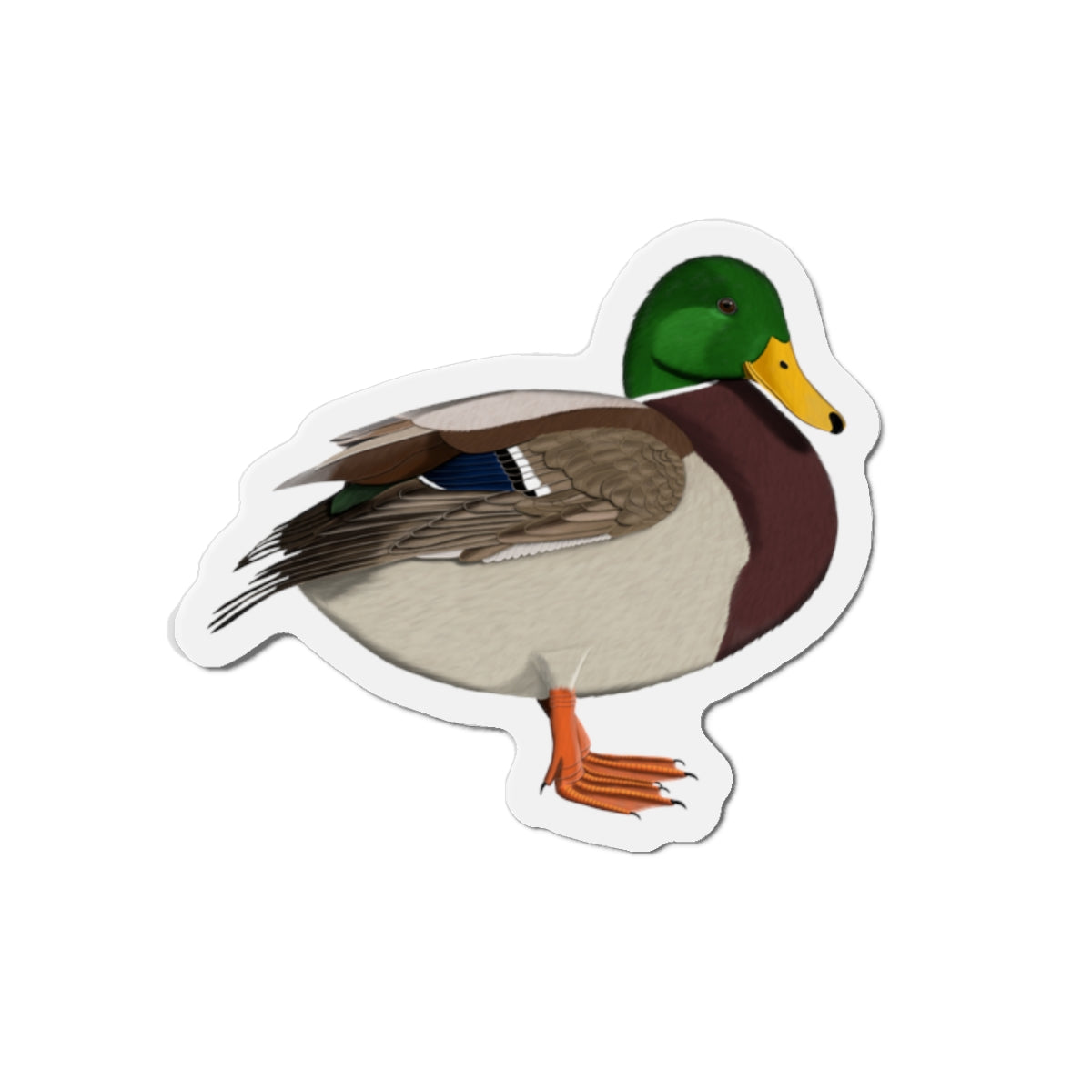 Mallard Bird Magnet