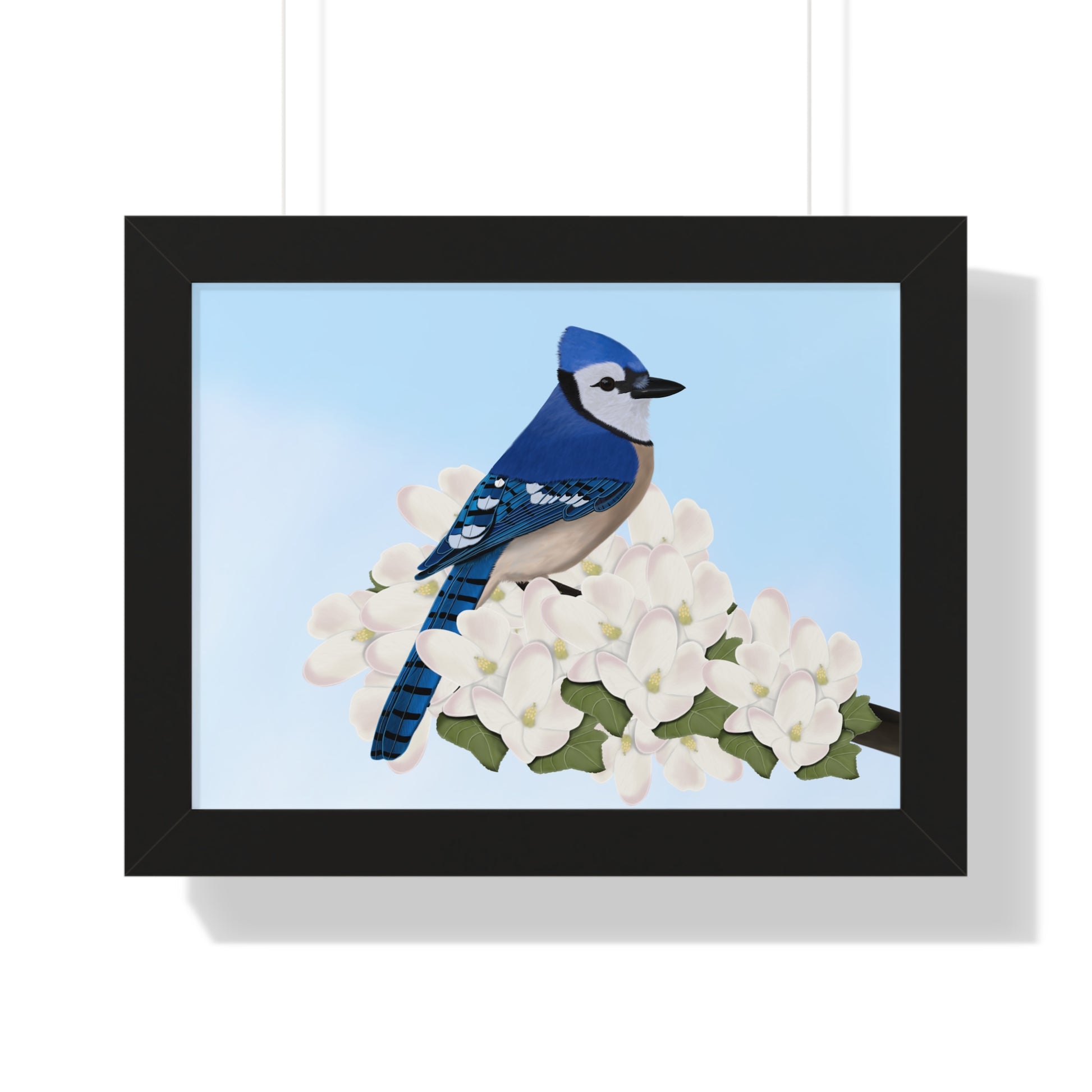 Blue Jay Framed Poster in Black