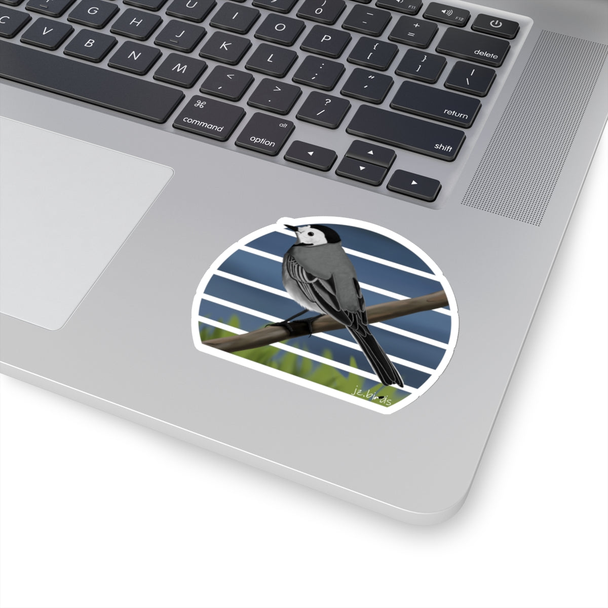 Wagtail Bird Sticker