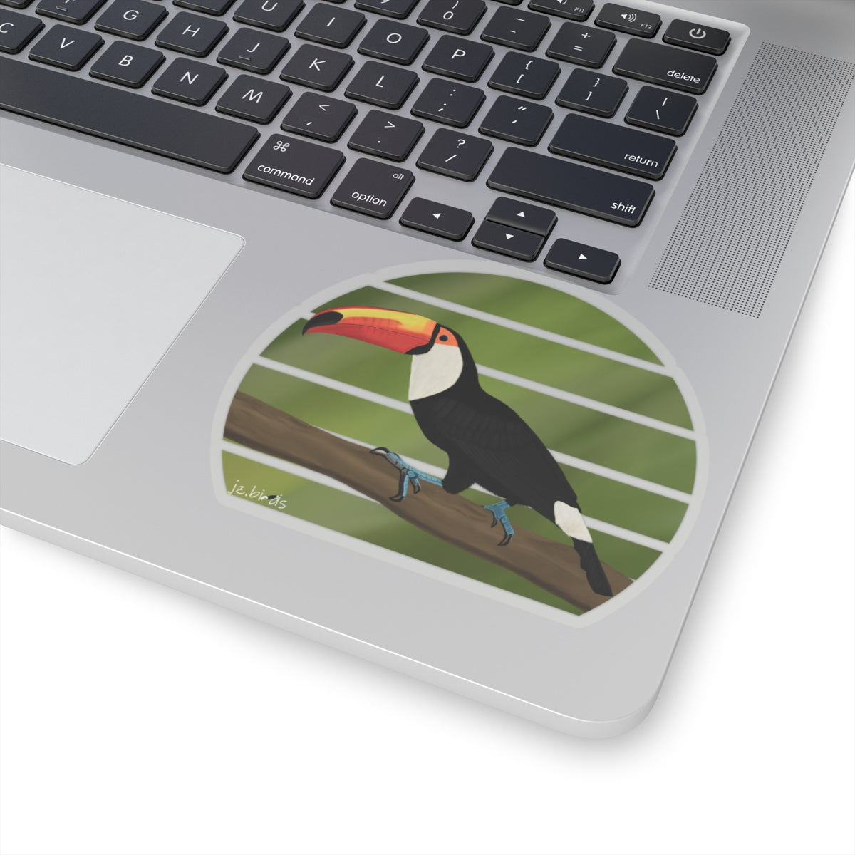 Toucan Bird Sticker