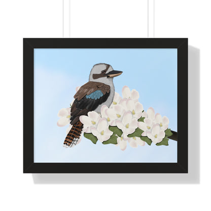 Kookaburra Spring Blossoms Bird Framed Poster