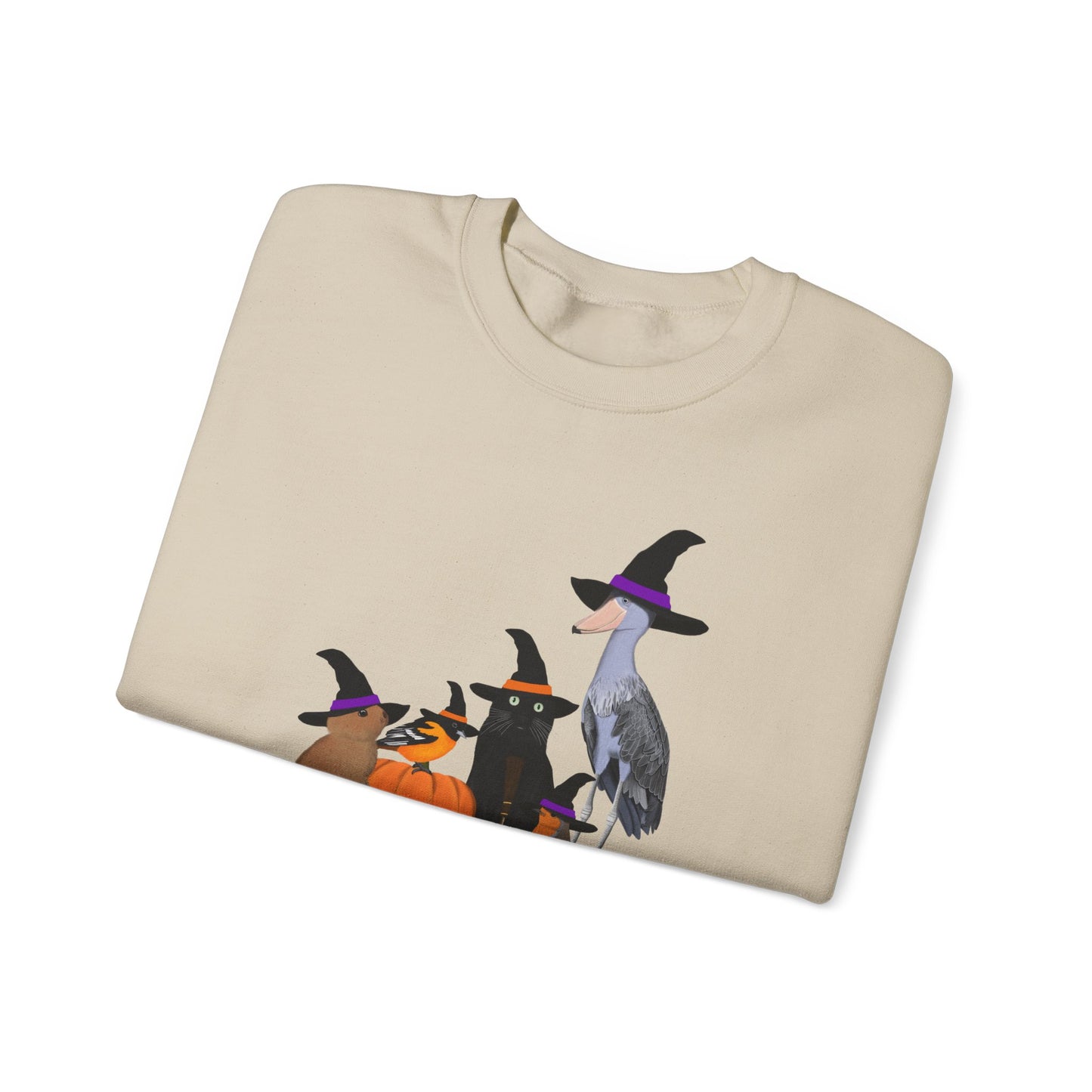 Robin Shoebill Oriole Rabbit with Cat Halloween Birds Sweatshirt