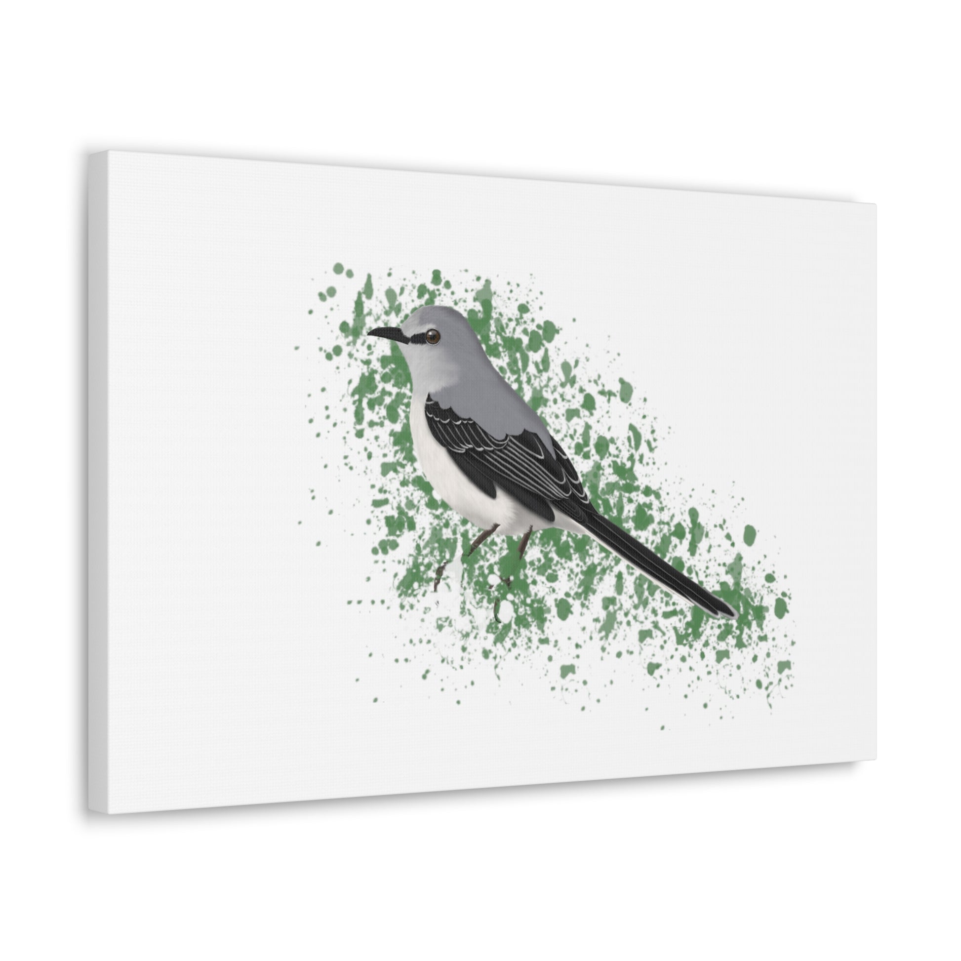 Mockingbird Bird Canvas Gallery Wrap White - jz.birds