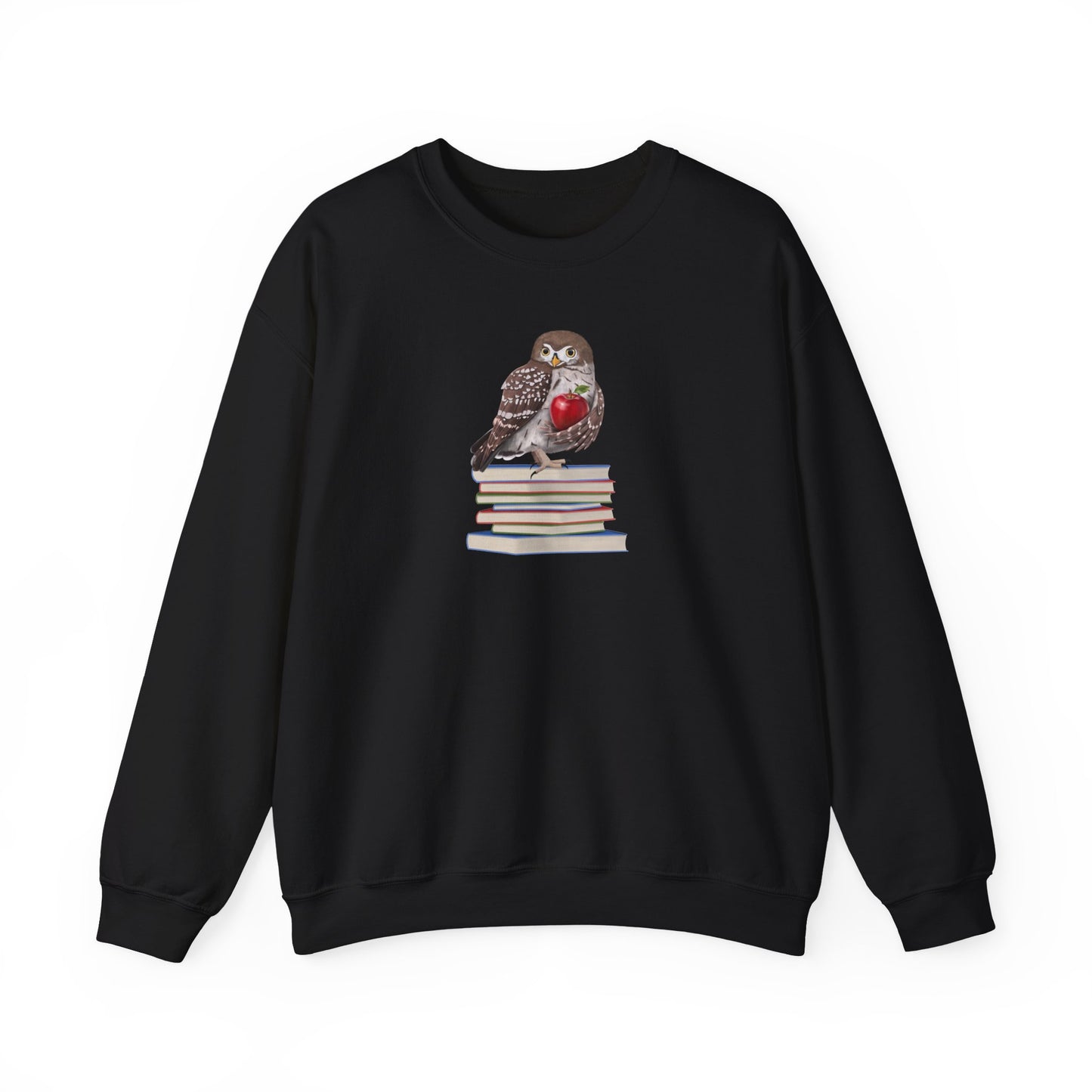 Cute Owl on Books Teacher Sweatshirt – Cozy Back to School Aesthetic