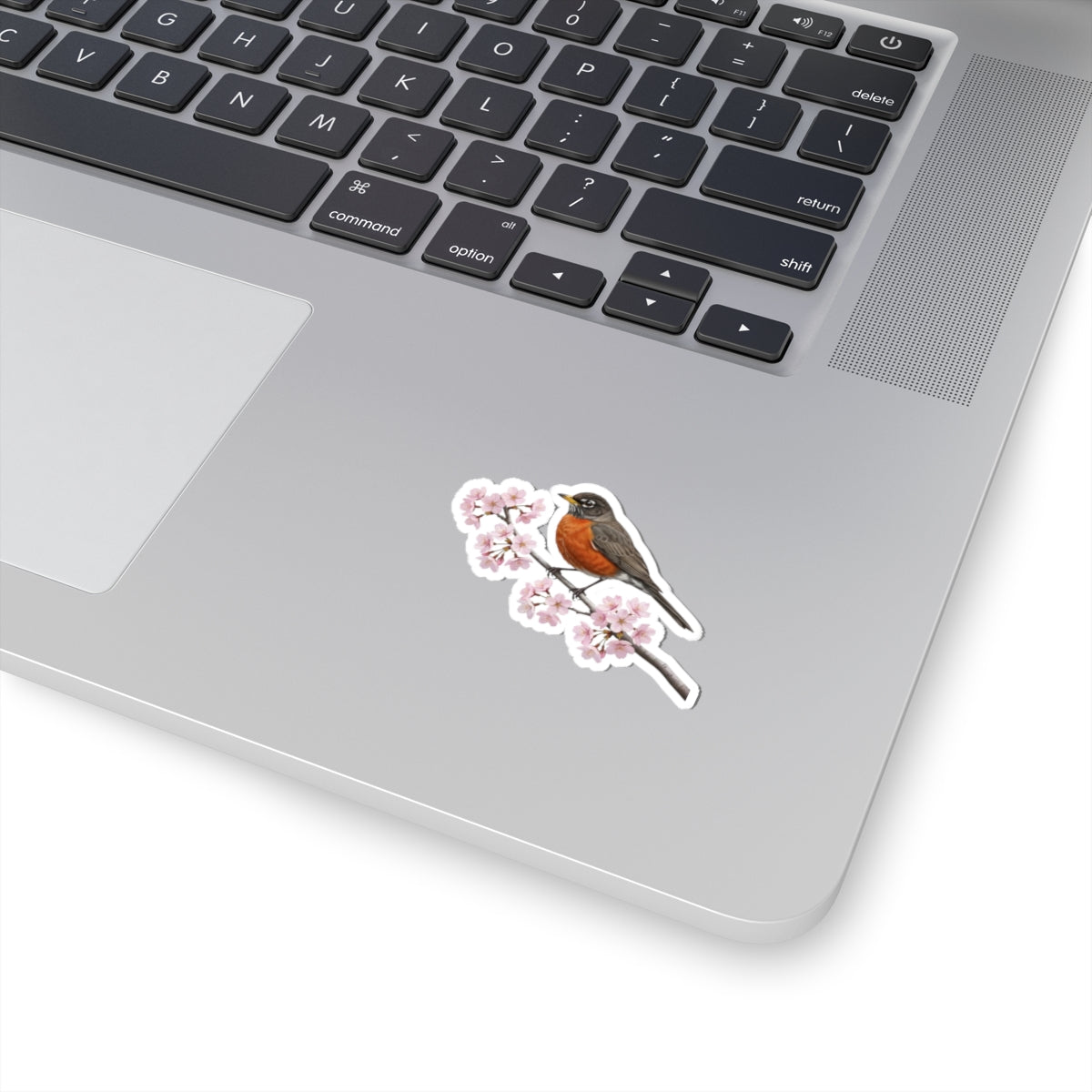 American Robin Cherry Blossom Sticker | Glossy Floral Bird Decal | Spring Laptop Sticker