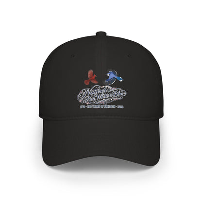 Nature's Red, White & Blue Baseball Cap | Blue Jay Cardinal USA 250 Edition | jz.birds