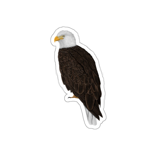 Bald Eagle Bird Kiss-Cut Sticker