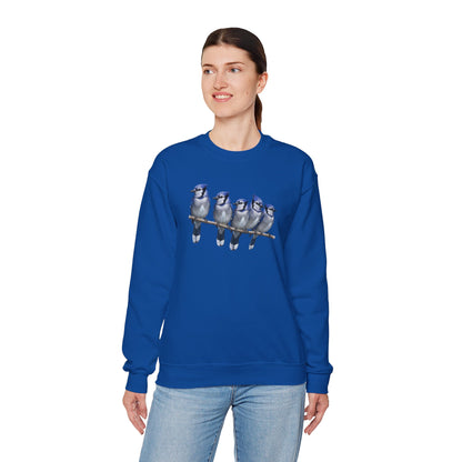 Blue Jays Sweatshirt | Bird Watcher Crewneck | Unisex Songbird Gift for Bird Lovers