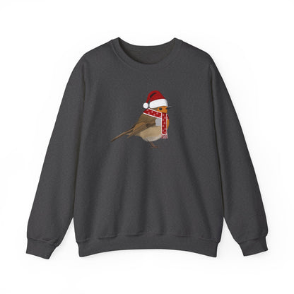 European Robin with Christmas Hat Bird Birdwatcher Sweatshirt