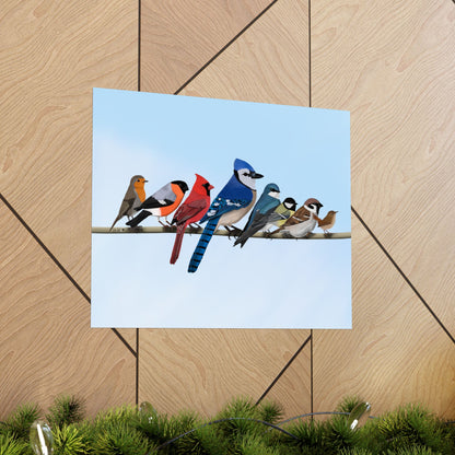 Backyard Birds Blue Jay Cardinal Bullfinch Robin Matte Bird Poster