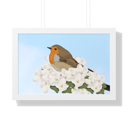 Robin Spring Blossoms Bird Framed Poster