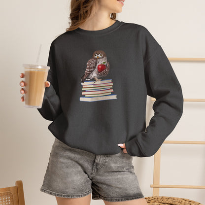 Cute Owl on Books Teacher Sweatshirt – Cozy Back to School Aesthetic