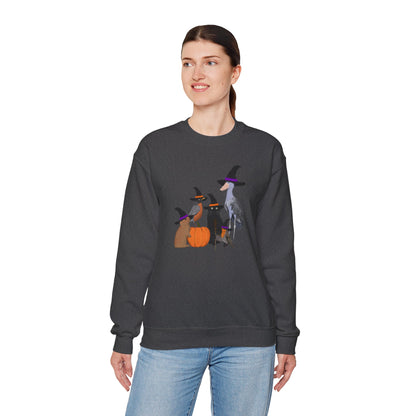 Robin Shoebill Rabbit with Cat Happy Halloween Birds Sweatshirt