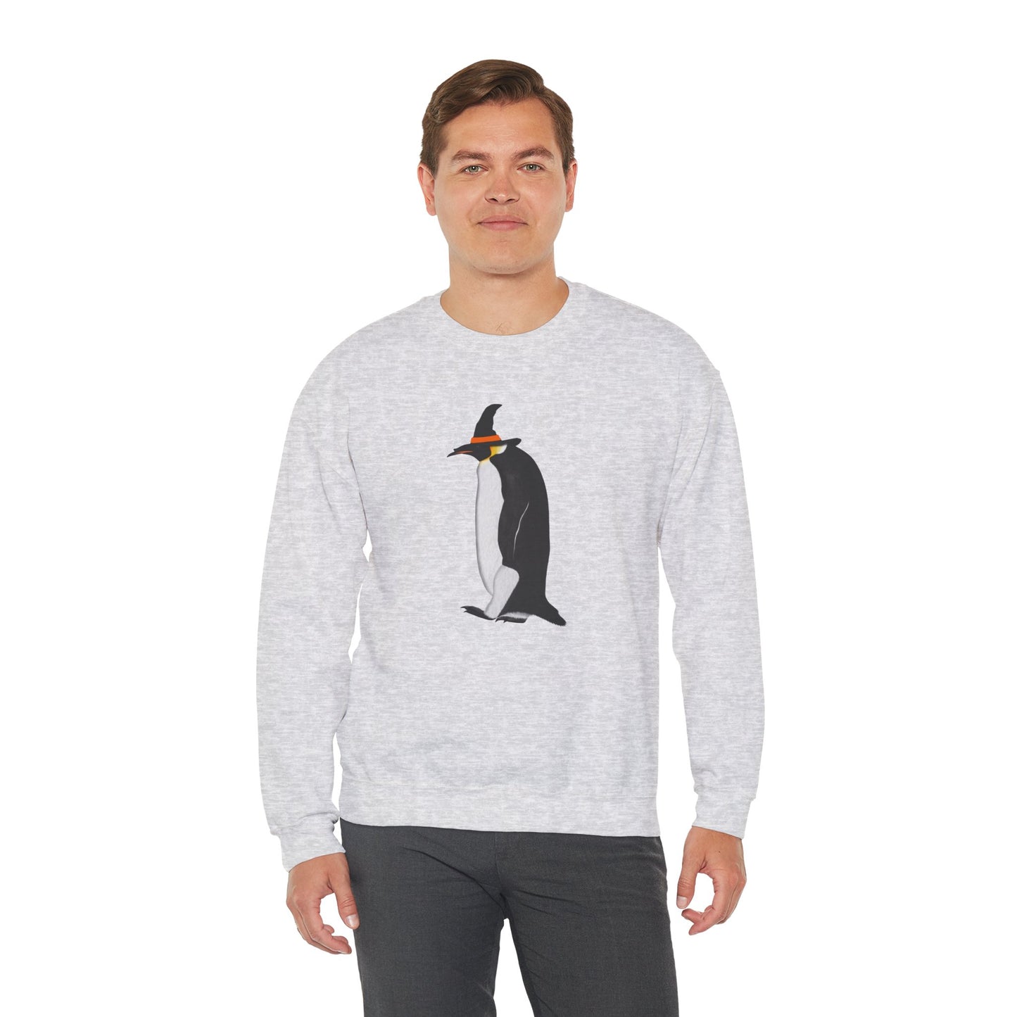 Penguin Halloween Birds Witch Birdwatcher Sweatshirt