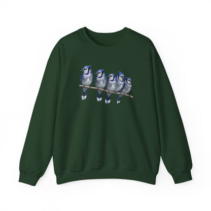 Blue Jays Sweatshirt | Bird Watcher Crewneck | Unisex Songbird Gift for Bird Lovers