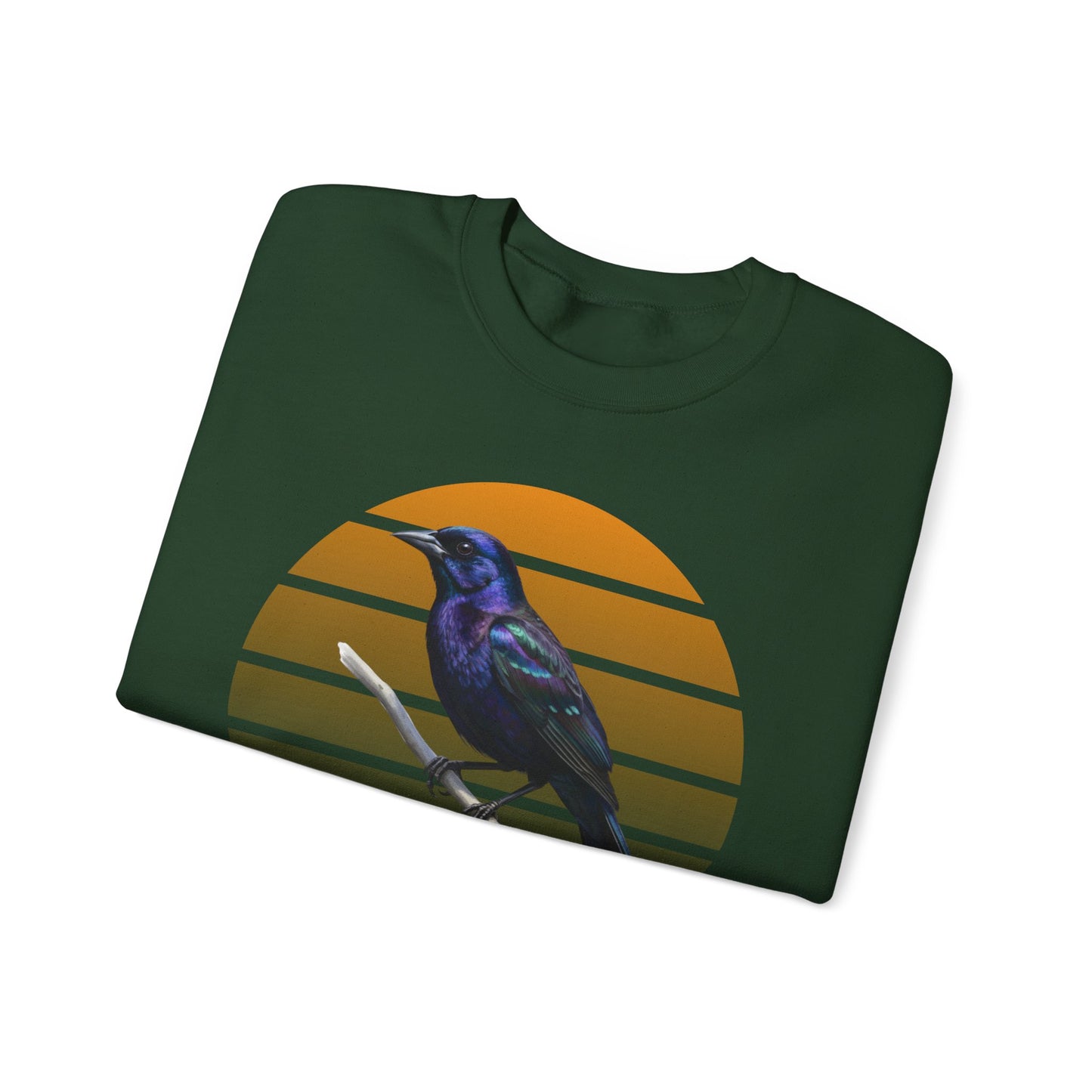 Grackle Sweatshirt | Common Grackle Birder Gift | Great-Tailed Bird Lover Crewneck
