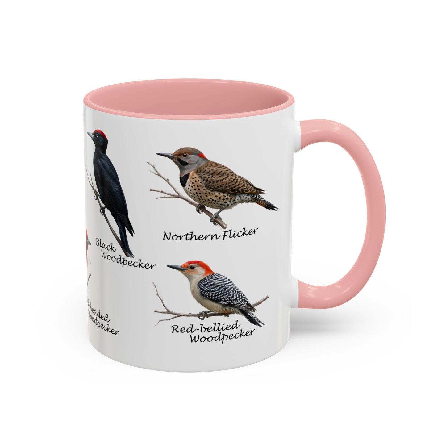 Woodpecker Field Guide Coffee Mug | Two-Tone Bird Watcher Accent Cup – 11 oz,