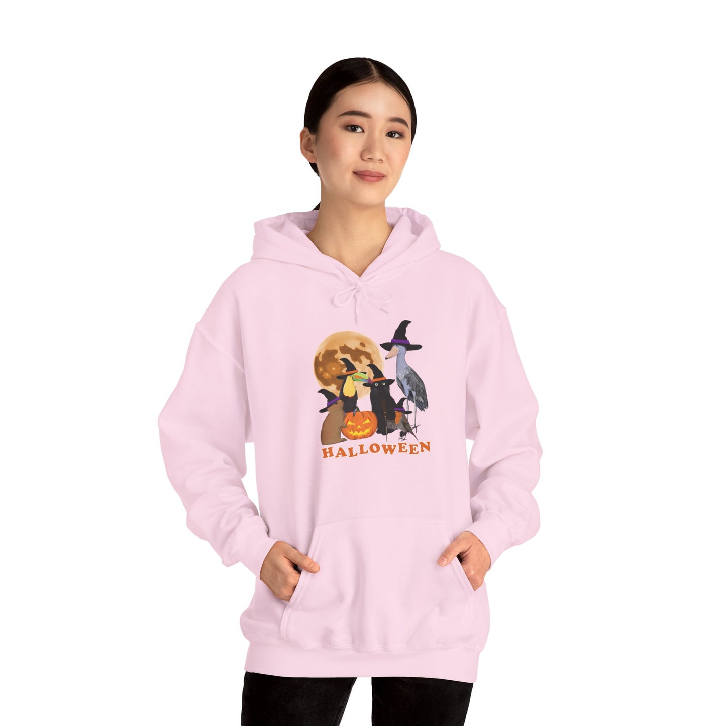 Toucan Robin Shoebill with Cat and Bunny Halloween Bird Hoodie