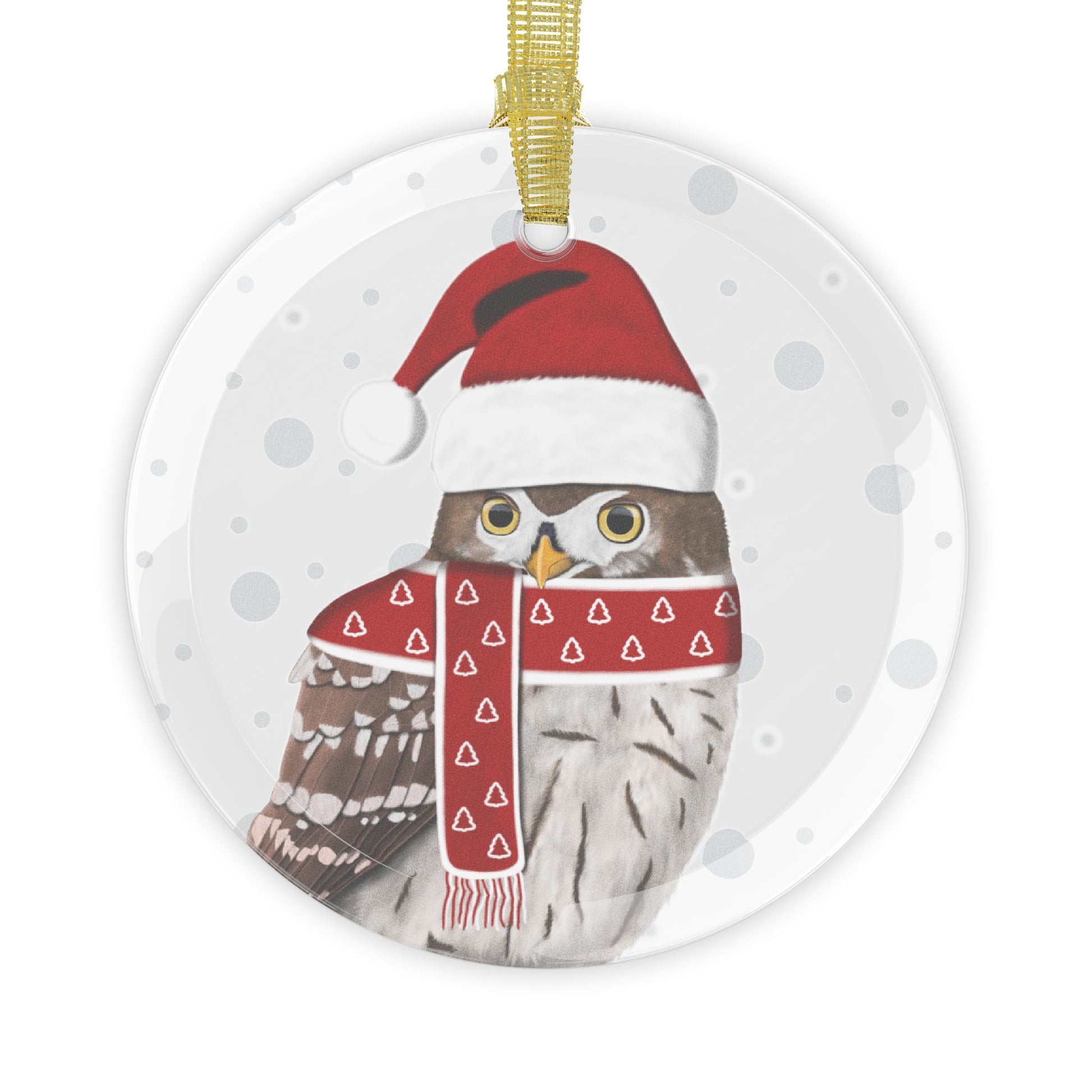 Owl as Santa Claus Christmas Glass Ornament