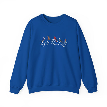 Birds Blue Jay Robin Cardinal Tree Swallow Bluebird Bird Birding & Birdwatching Sweatshirt