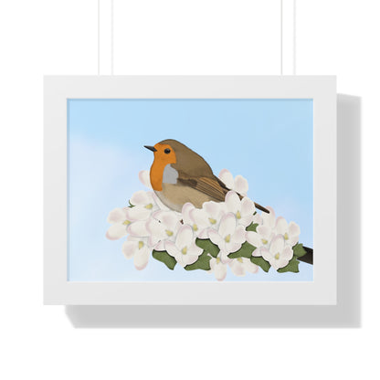 Robin Spring Blossoms Bird Framed Poster