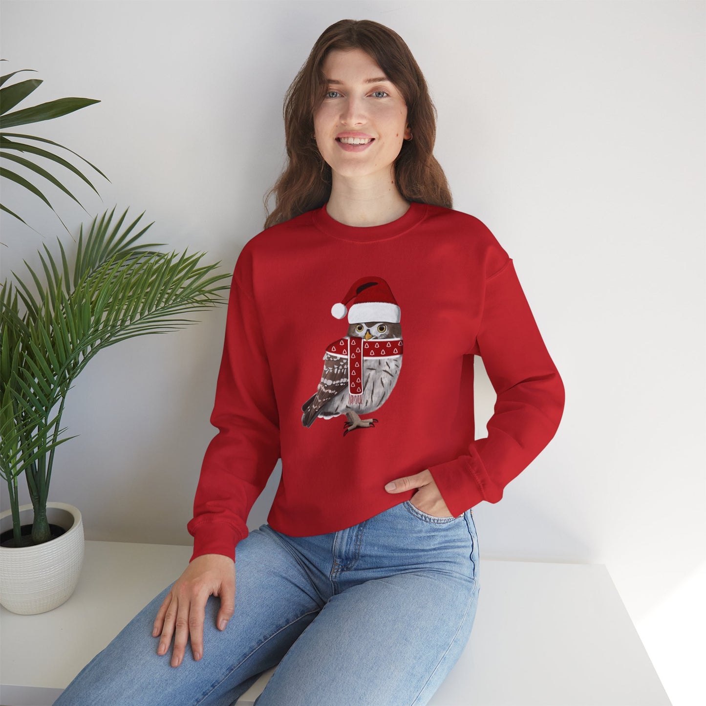 Owl with Christmas Hat Bird Birdwatcher Sweatshirt