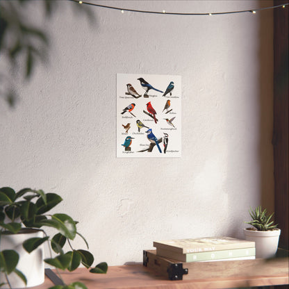 Backyard Birds Blue Jay Cardinal Hummingbird Matte Bird Poster