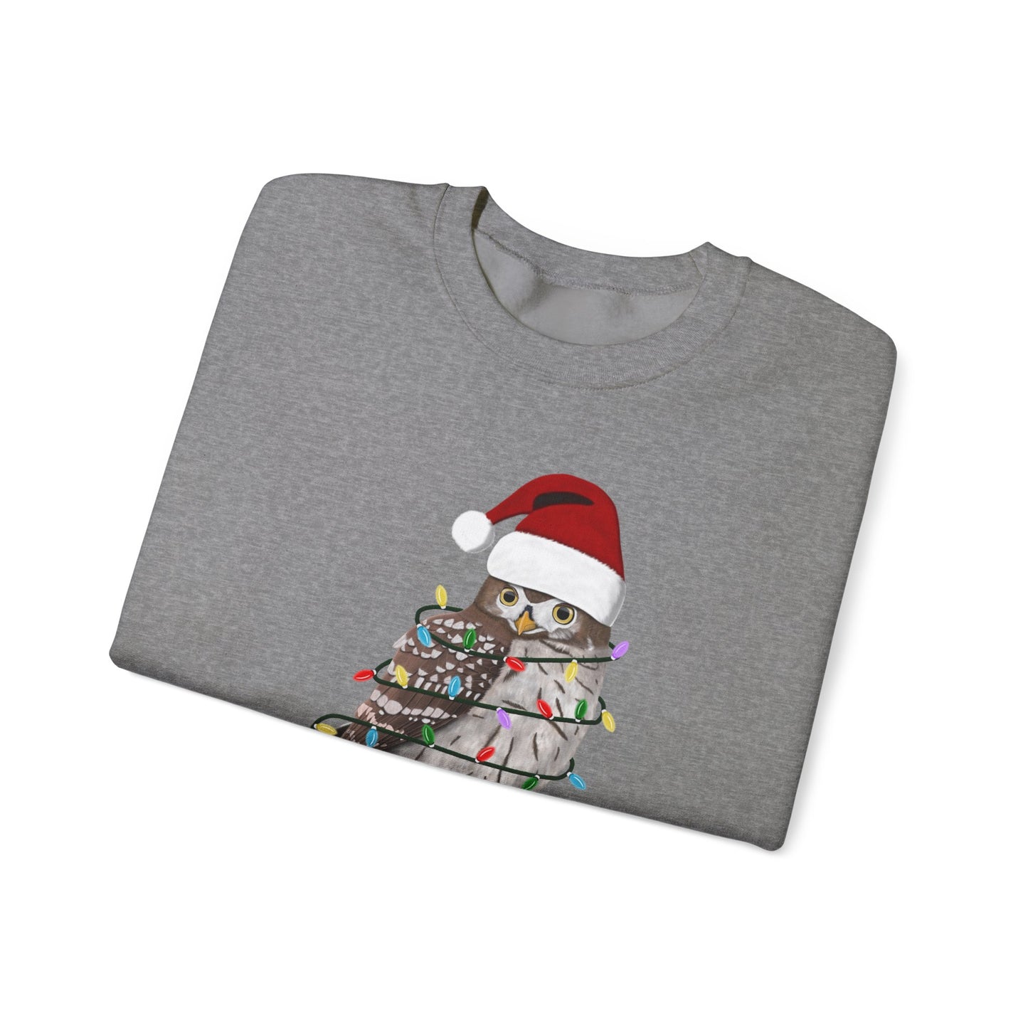 Owl with Fairy Lights Santa Claus Christmas Bird Sweatshirt