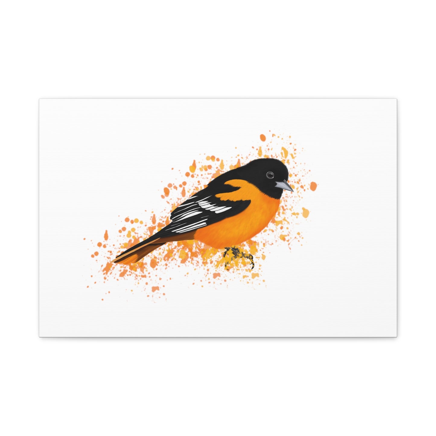 oriole bird canvas gallery wrap