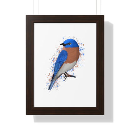 Bluebird Bird Framed Poster