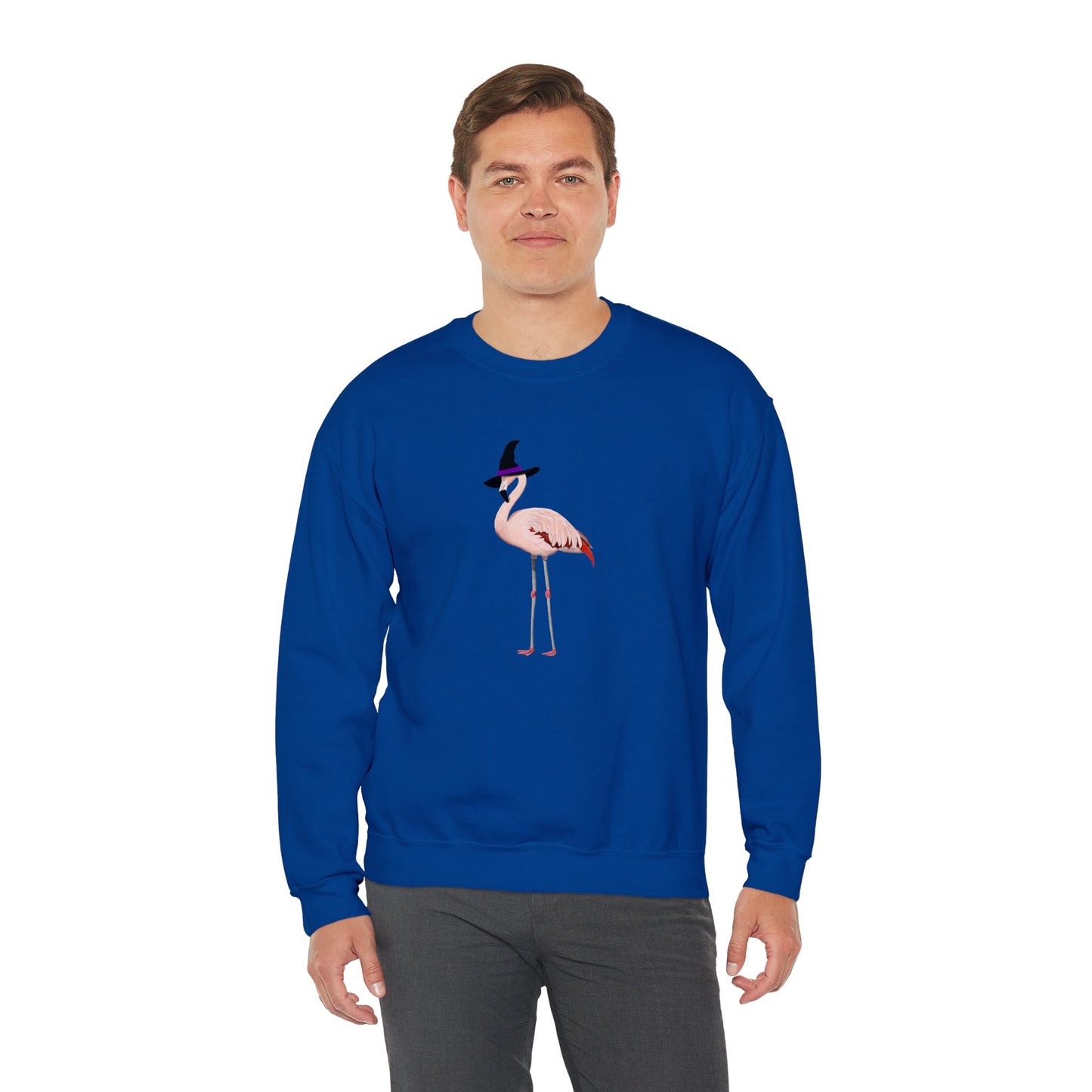 Flamingo Halloween Birds Witch Birdwatcher Sweatshirt