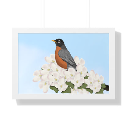 Robin Spring Blossoms Bird Framed Poster