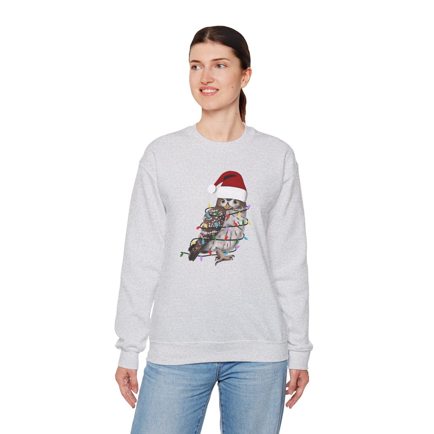 Owl with Fairy Lights Santa Claus Christmas Bird Sweatshirt